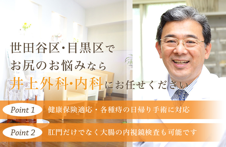 世田谷区・目黒区でお尻のお悩みなら井上外科内科にお任せください point1 健康保険適応・各種痔の日帰り手術に対応 point2 肛門だけでなく大腸の内視鏡検査も可能です